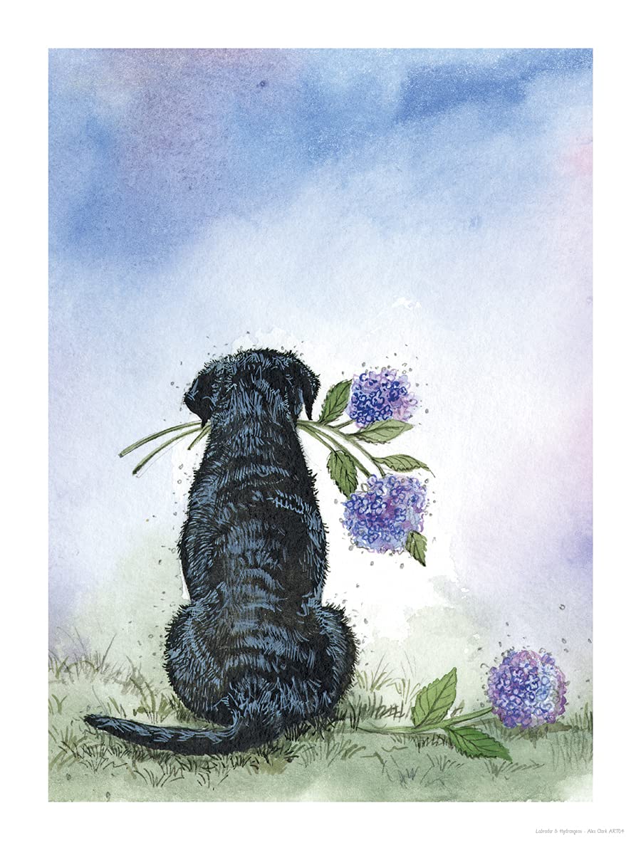 ALEX CLARK Labrador and Hydrangeas Art Print