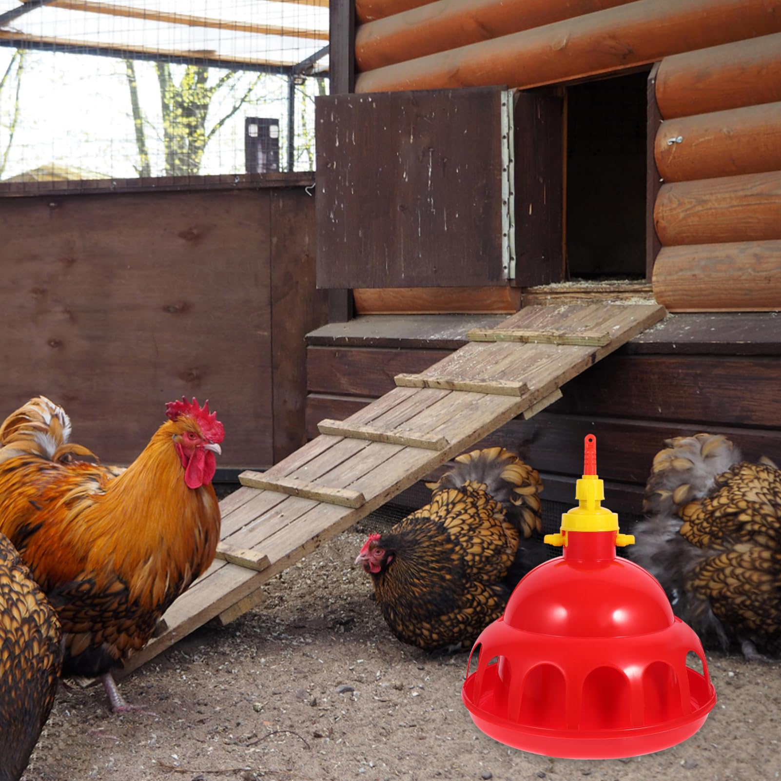 Abbeveratoio Automatico per Pollame in Pp Rosso, 1 Pezzo | Dosaggio Automatico Dell’acqua, Sicuro e Facile da Usare, per Fattoria e Negozio, Adatto a Pet e Colombi