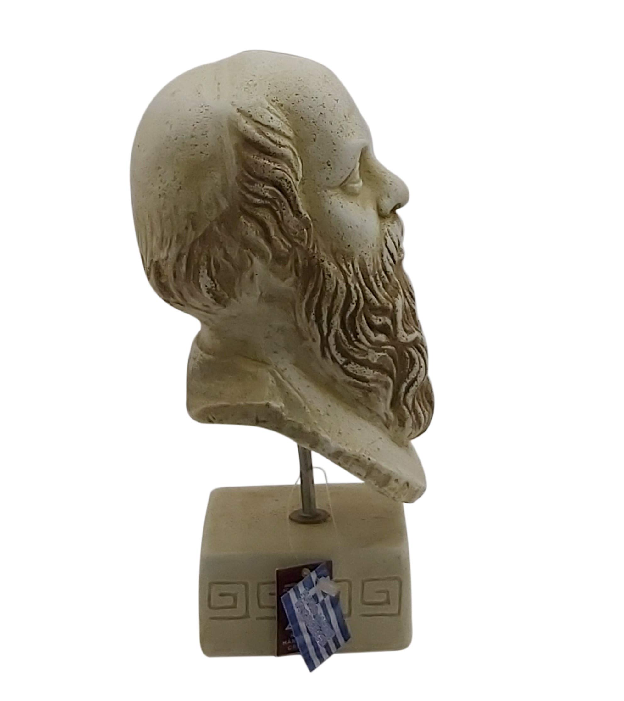 Sócrates Antiguo Filósofo Griego Busto Cabeza Escultura Piedra de Fundición