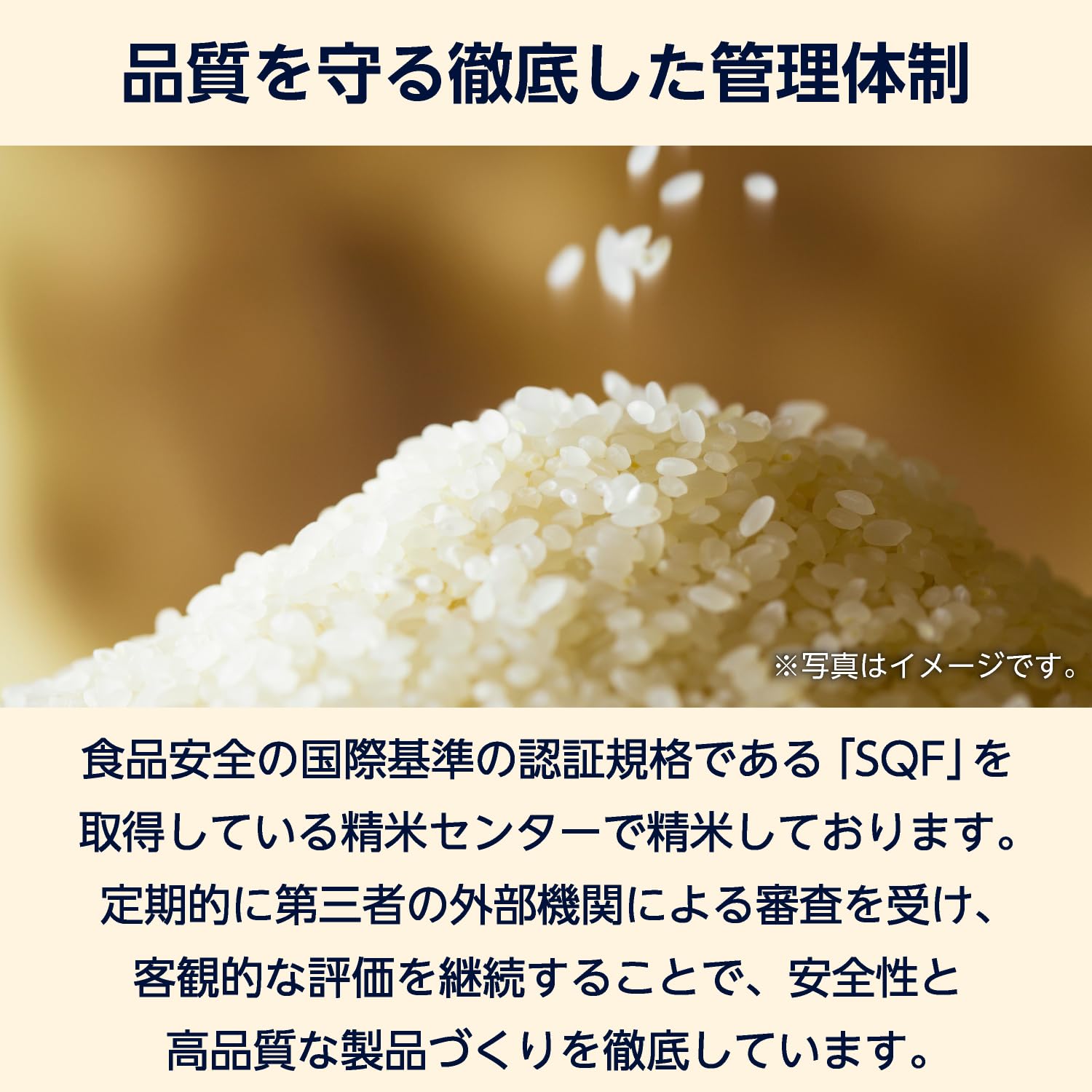 Amazon.co.jp: 