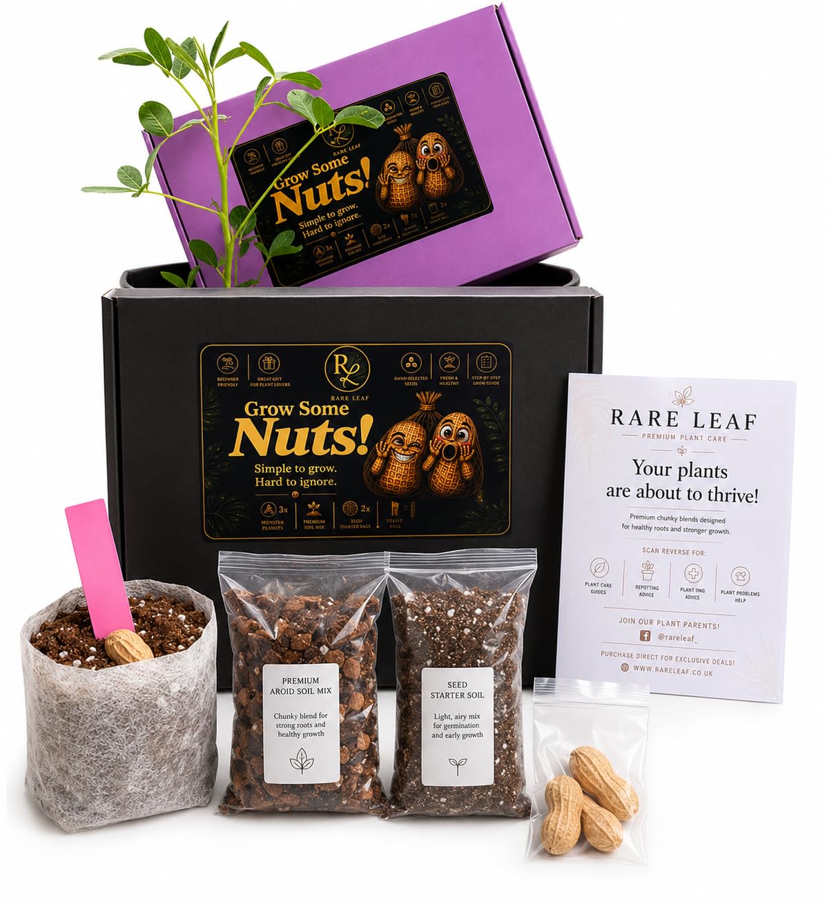 Rare Leaf Grow Your Own Peanuts Kit | Complete Peanut Growing Set | Funny Gardening Gift Idea | Unique Funny Gift