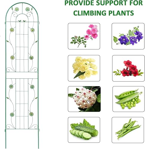 Miniatura 5 de Paquete de 4 enrejados de jardín de metal de 71 pulgadas de alto, enrejado a prueba de óxido para plantas trepadoras, soporte de rosas, flores,