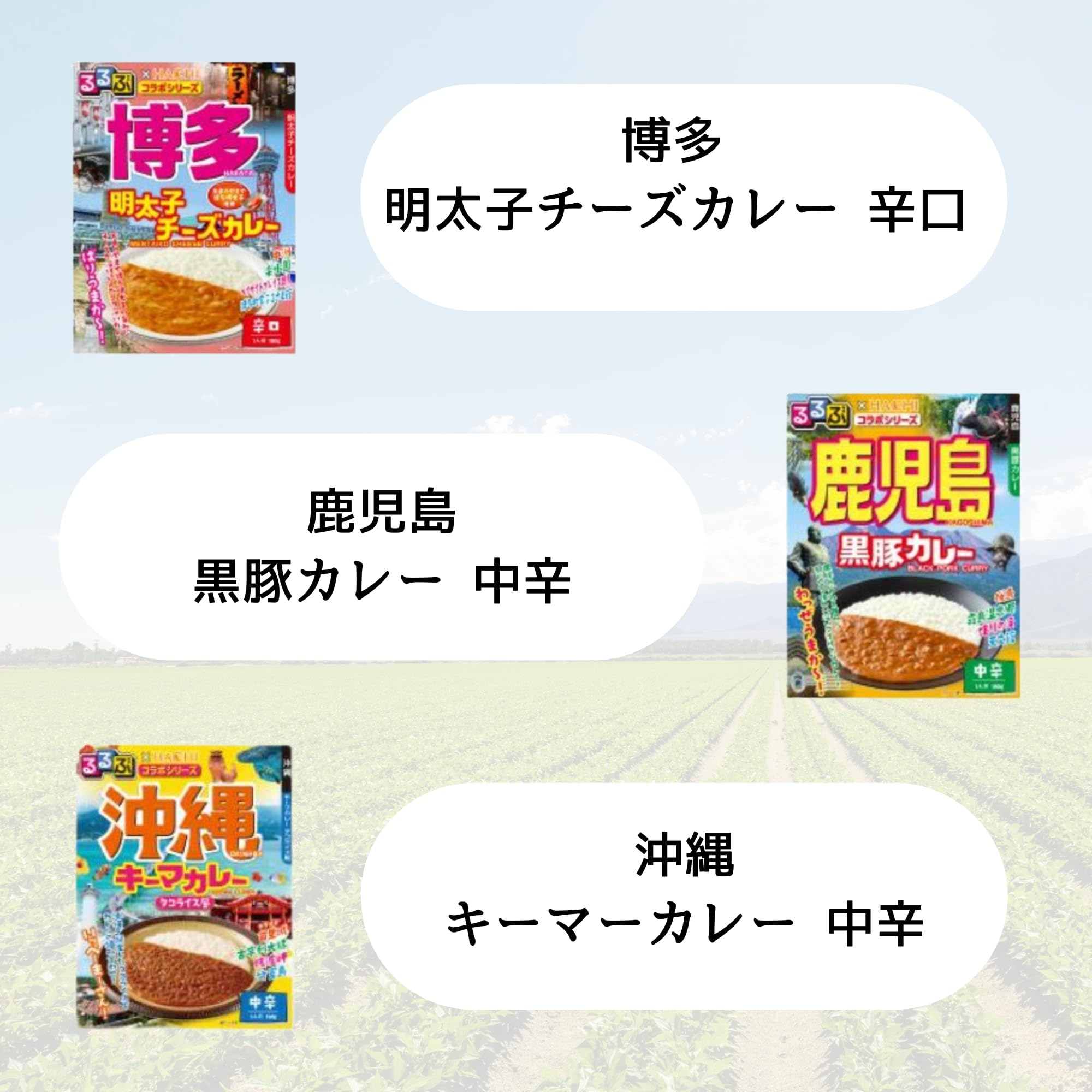 Amazon.co.jp: カレー ギフト ご当地 るるぶ 10種セット 食べ比べ