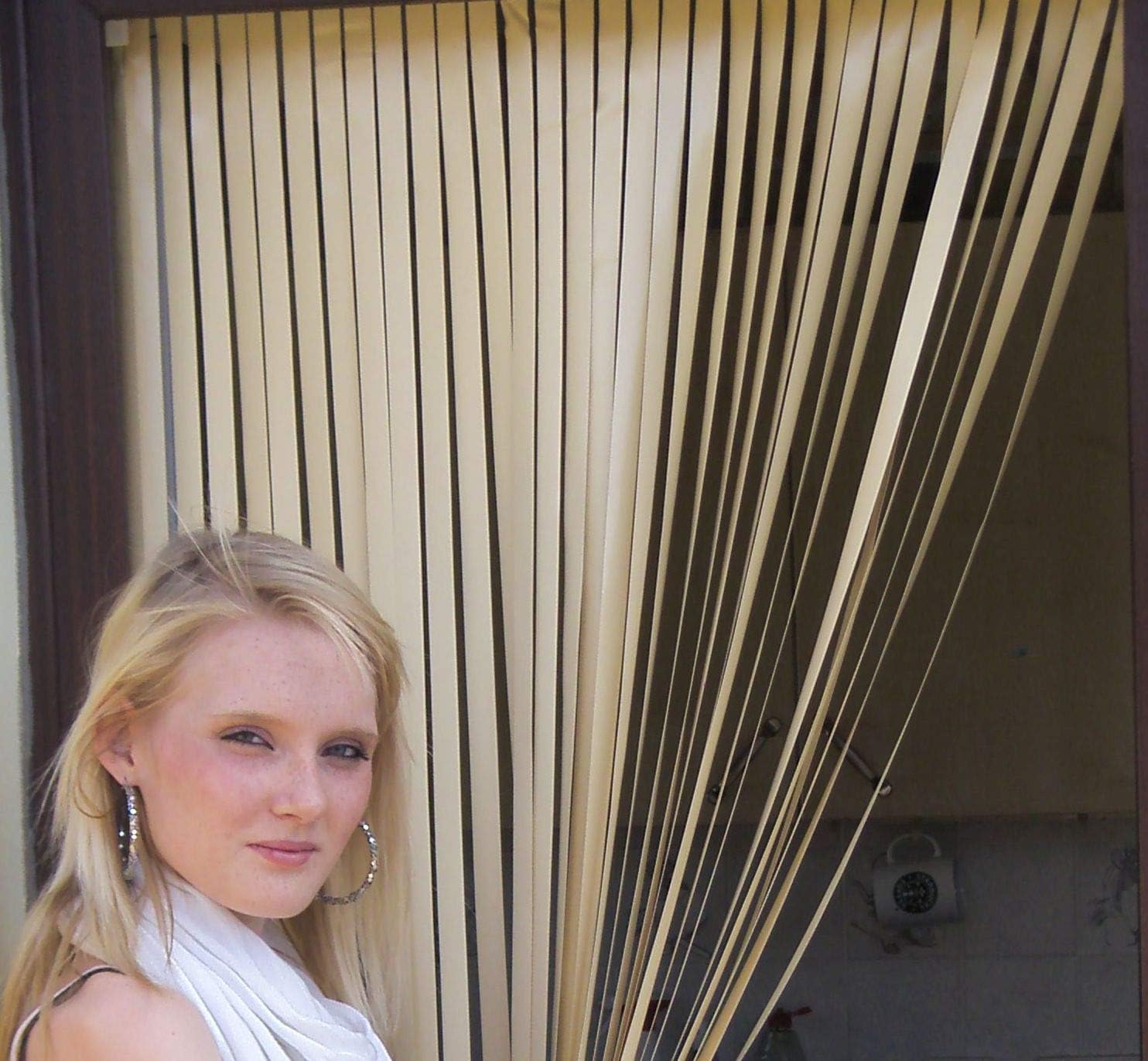 Heavy Duty Caravan/RV Door Curtain,Bug Blind,Fly Blind,Strip BlindALL