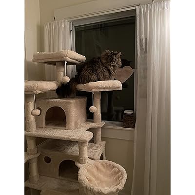 cat tree under $20