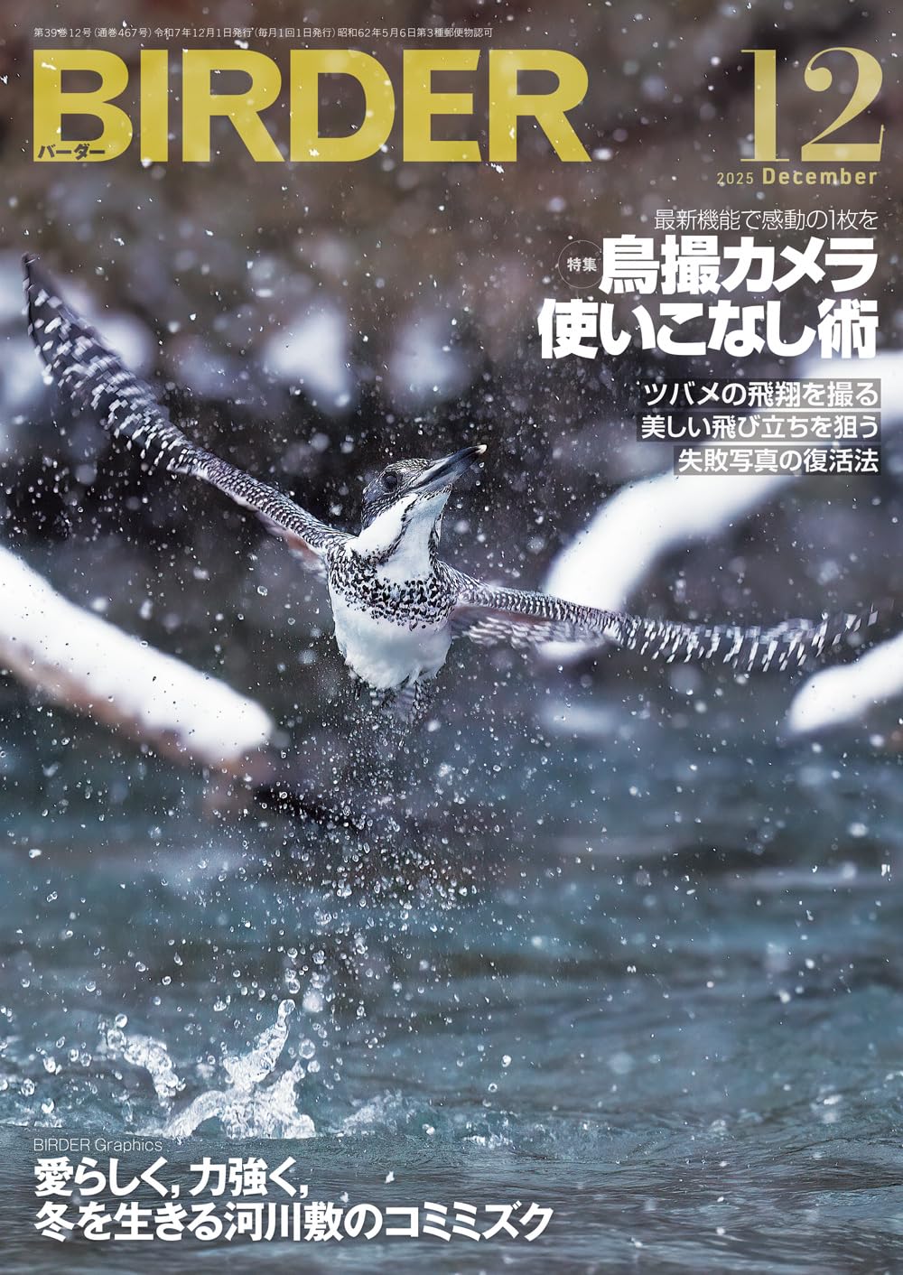 BIRDER（2022.1-12月号）　12冊セット 71QkS75SCGL.jpg