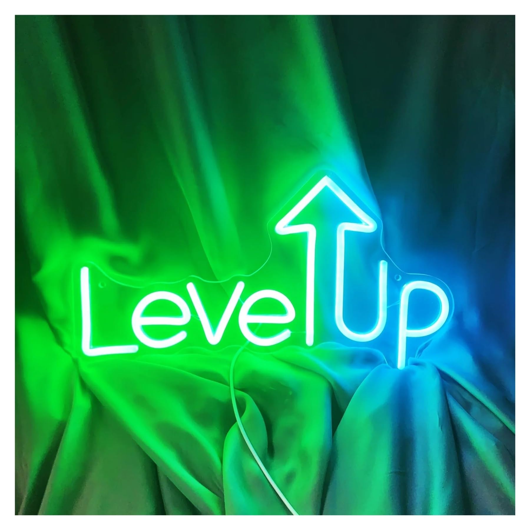 LEMST Signs Lamp ”Leve UP“ Neon Signs Perfect for Player Bedrooms and Party Atmosphere 40x22cm