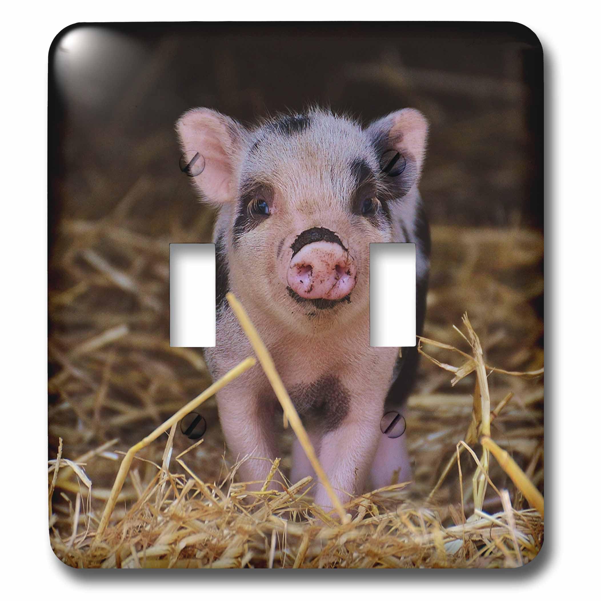 Double interrupteur à bascule bébé cochon pour harmoniser la salle de jeux