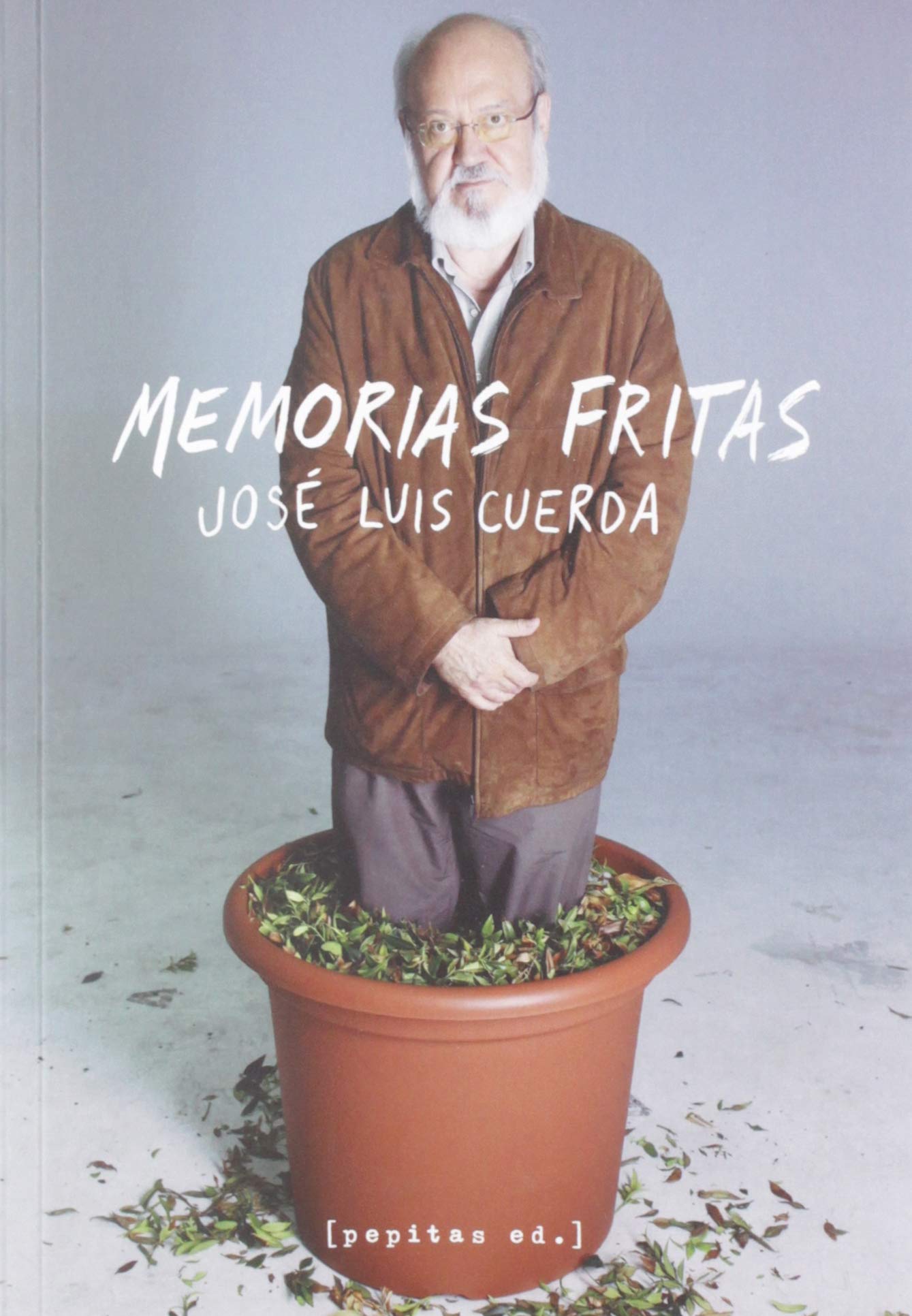 Memorias fritas bol apéritif en terre cuite et vaisselle