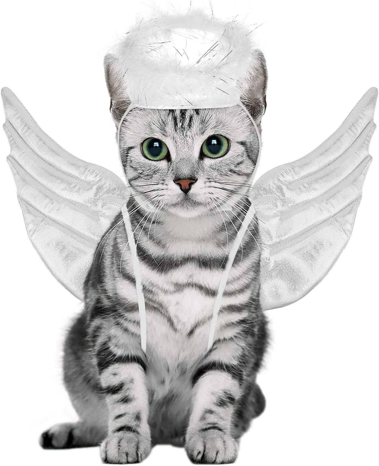 POPETPOPAngel Costume Fancy Cat Costume Angel Wings Shape Pet Cosplay Costume Pet Makeover Clothes for Cat Small Puppy Halloween Christmas Birthday Party Outfit Cat Bat Wings