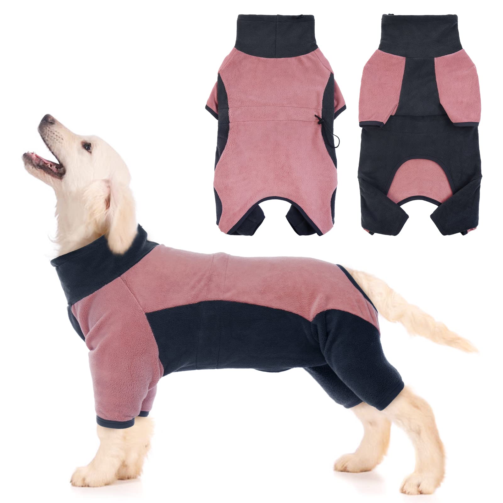 How Long Do Dogs Shed Winter Coat