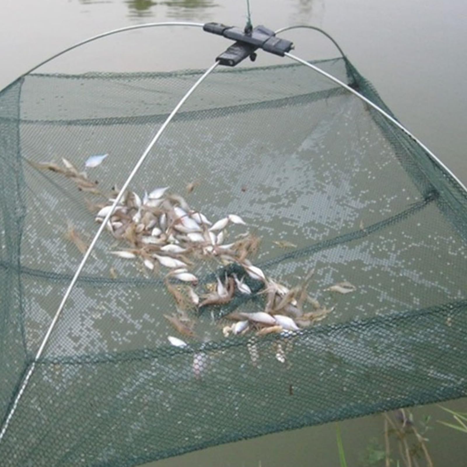 Setzkescher Fischsenke mit AntiFlucht Rand Köderfischfalle Faltender Fischernetz Käfig Outdoor Angelwerkzeug, Köderfisch-Senke mit Schnellspann-System