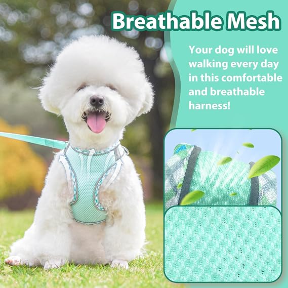Dog Harness and Leash Set,Soft Mesh Breathable Dog Vest Harness with Training Clicker,Adjustable No Pull Reflective Pet Vest Harness with Safety Buckle for Small Medium Dogs, Cats, Puppies (Green, XS)