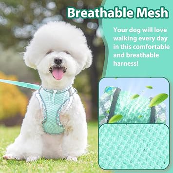 Dog Harness and Leash Set,Soft Mesh Breathable Dog Vest Harness with Training Clicker,Adjustable No Pull Reflective Pet Vest Harness with Safety Buckle for Small Medium Dogs, Cats, Puppies (Green, XS)