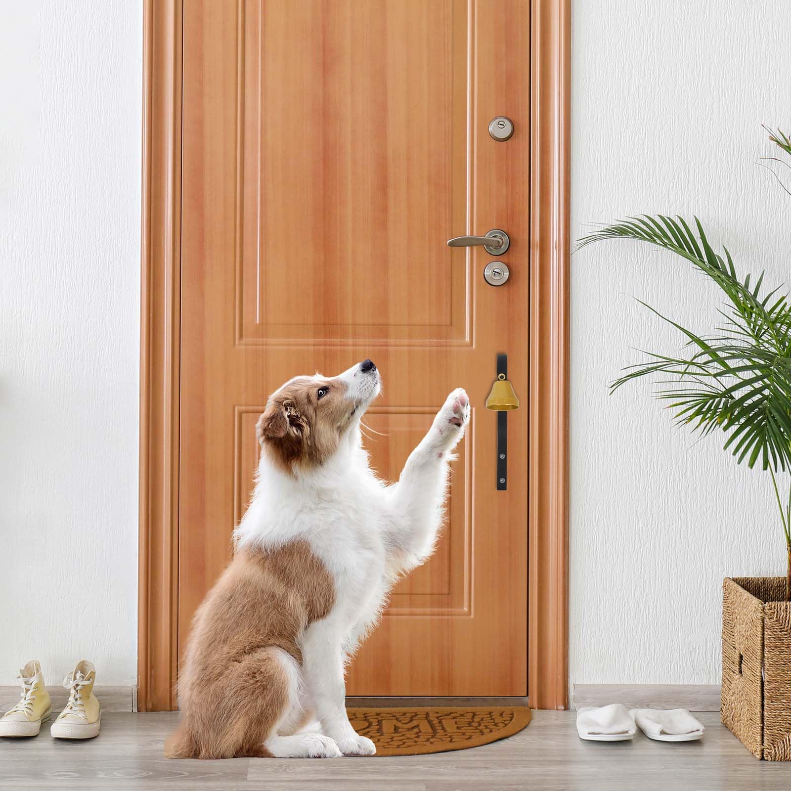 Colexy Campanello Antico Campanello per Negozianti Campanello da addestramento per Cani, Campanello per Porta d'ingresso del Negozio per Decorazione Domestica, Cane vasino (Nero)