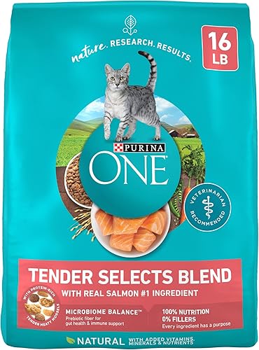 Purina ONE Alimento seco natural para gatos, Tender Selects mezcla con salmón real, bolsa de 16 libras
