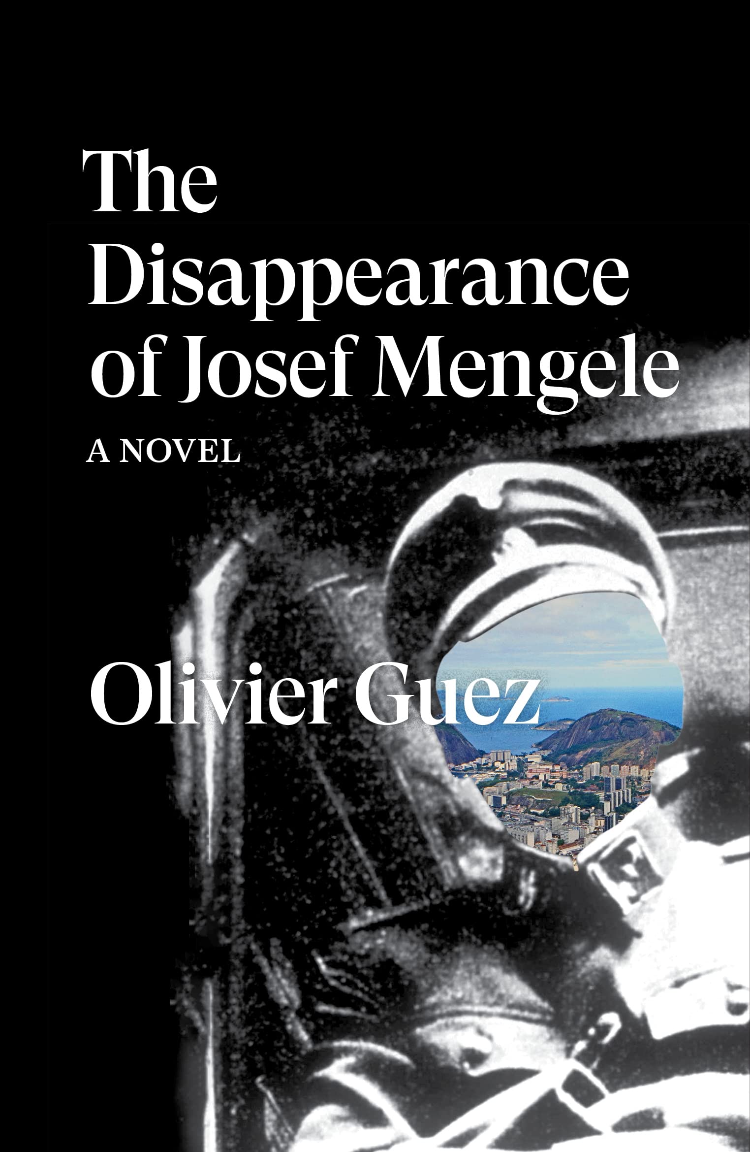 The Disappearance of Josef Mengele: A Novel (Verso Fiction)