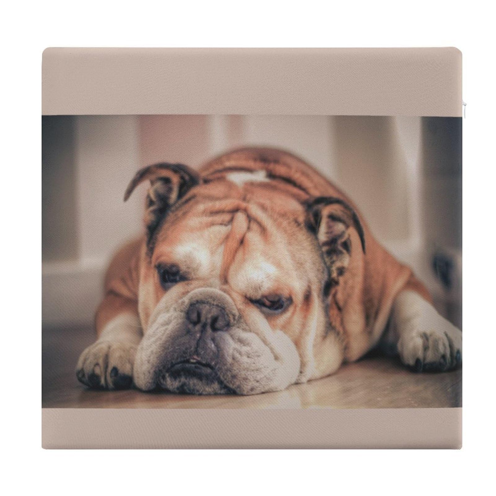 JZemdybill Chair Pad, English Bulldog Seat Pad, Square Chair Cushion for Yoga Living Room Balcony
