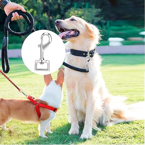 Miniatura 6 de Ensbelei - 12 ganchos giratorios chapados en níquel resistente, hebilla para mascotas para conectar a la correa del perro, gancho al aire libre,