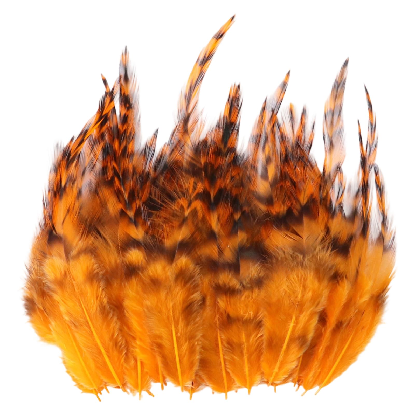 Yjcnelcr 100Pcs Pheasant Plumage Ideal for Art and Costume Decoration Stage Execution Quills