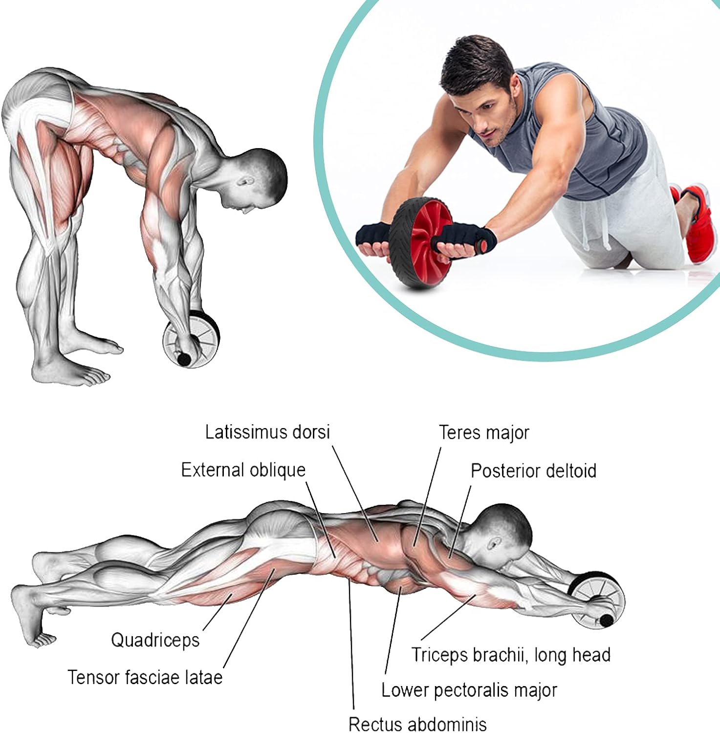 View Home Beginner Home Workouts For Abs Collection