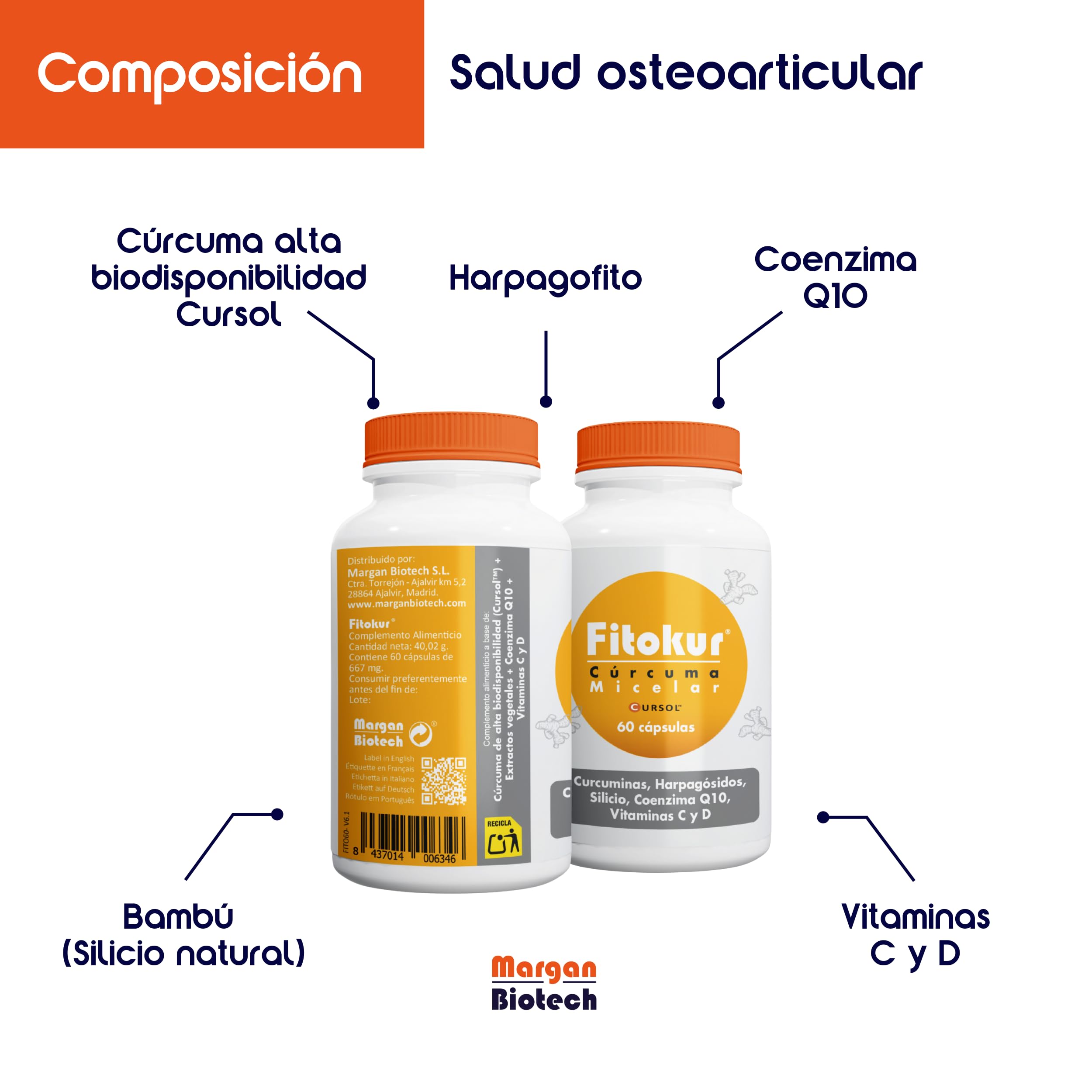 Margan Biotech Fitokur, 60 cápsulas | Cúrcuma Cursol | Extractos Vegetales | Coenzima Q10 | Vitamina D y C | Complementos Alimenticios para el Cuidado de la Salud Osteoarticular