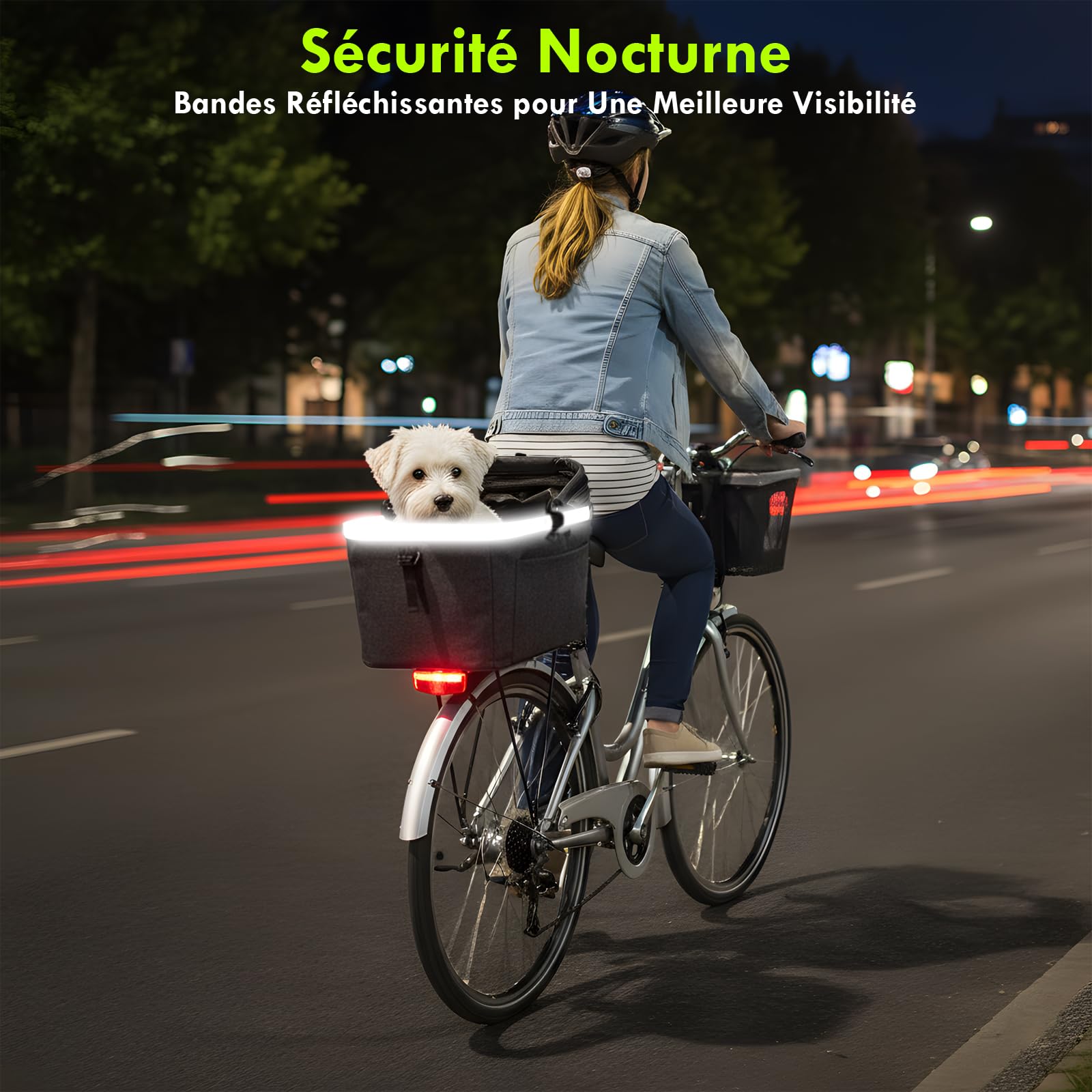 Panier Vélo Arrière Chien Pliable 10KG Cadre Métallique Support Fixation Tubes 9-12 mm Fenêtre Aérée Coussin Bandes Réfléchissantes