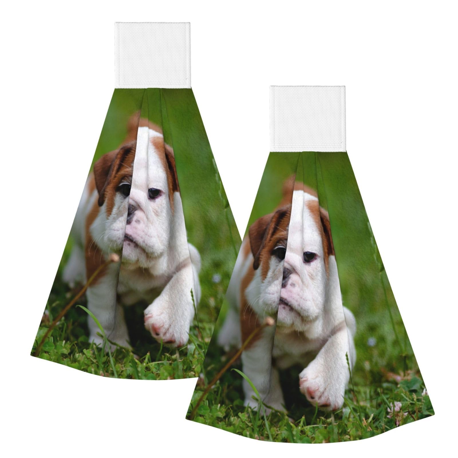 DOPKLNA Cute Bulldog Puppy, 2 Pcs Hanging Coral Fiber Hand Towels for Bathroom, Absorbent Kitchen Towels