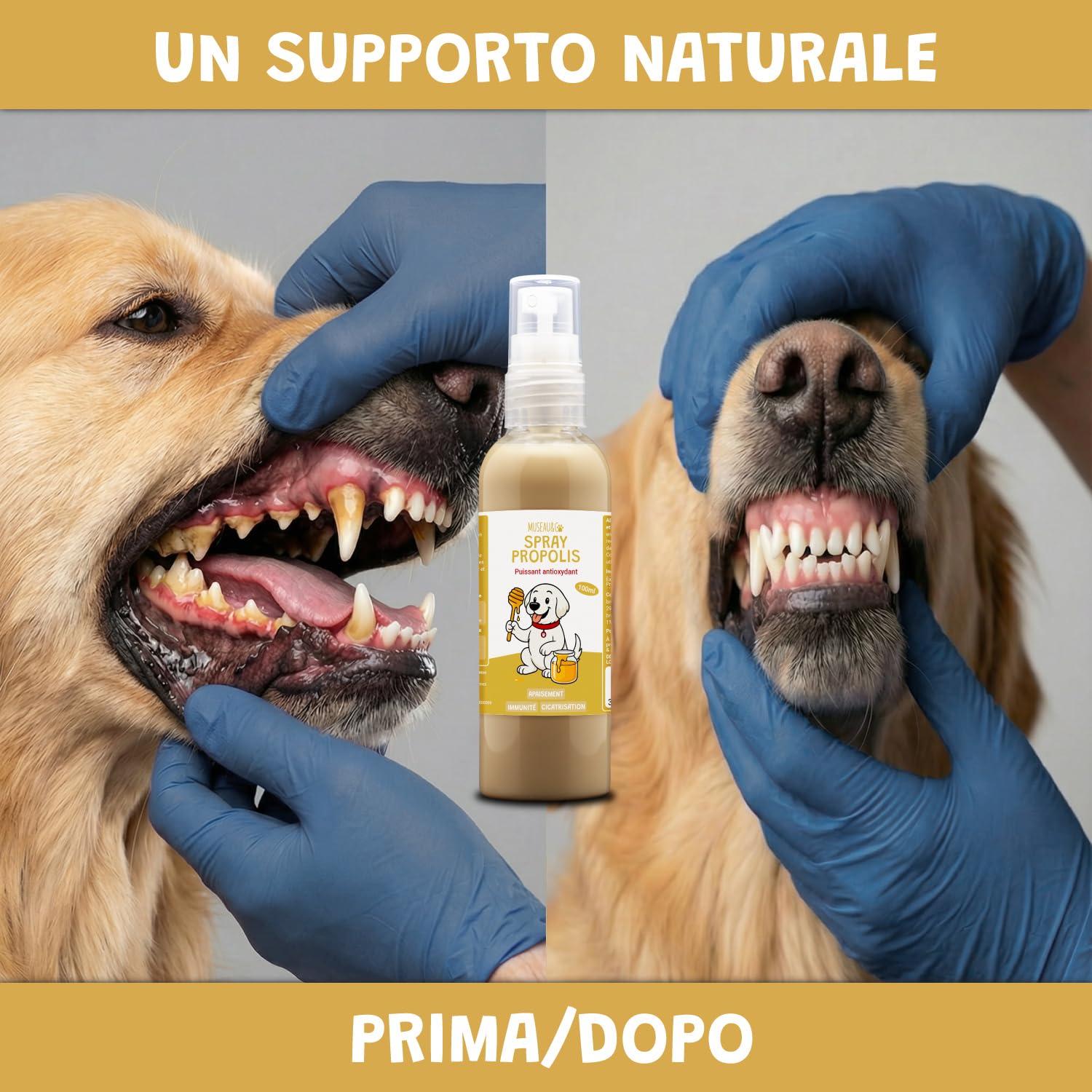 Spray Propoli Pura 100ml per Cani e Gatti | Igiene Orale, Placca & Alito Cattivo | Antibatterico & Antifungino Naturale | Senza Alcool | 3-4 Spruzzi 2-3x Settimana | Museau & Co