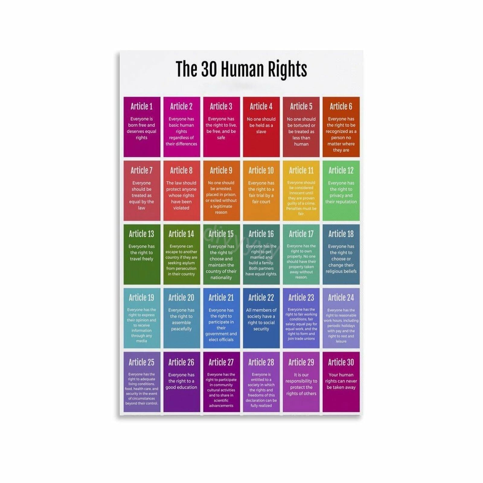 IDGTTLDF Human Rights Declaration United Nations Educational Inspirational Document Poster Motivational Wall-Art Decor for Office Conference Room Study Framed,08x12inch(20x30cm)