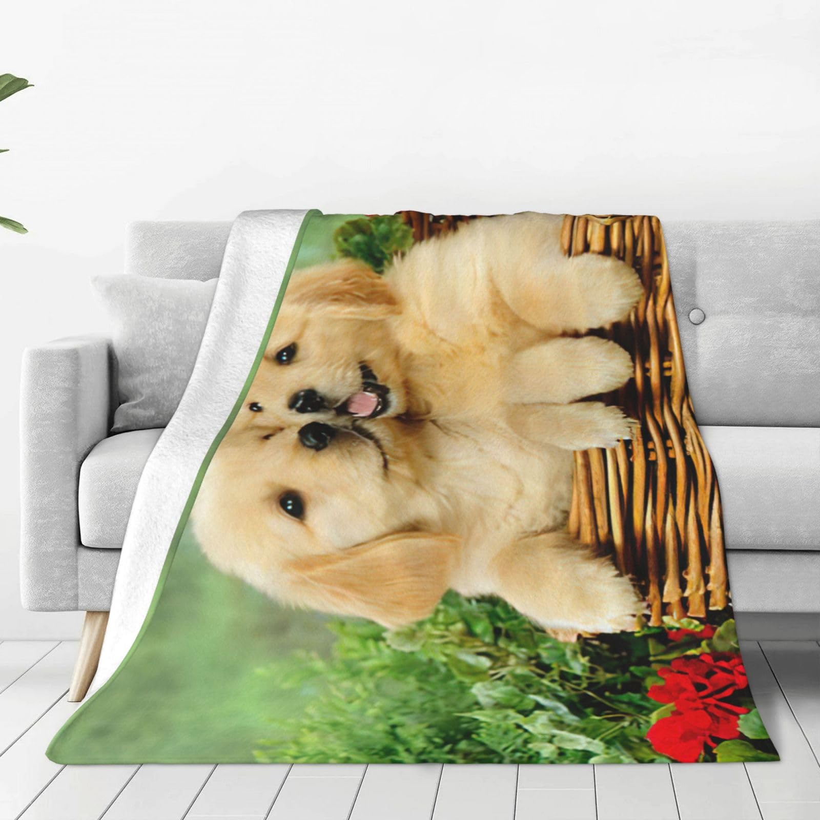 Couverture polaire en flanelle chaude et légère pour lit et canapé avec chien