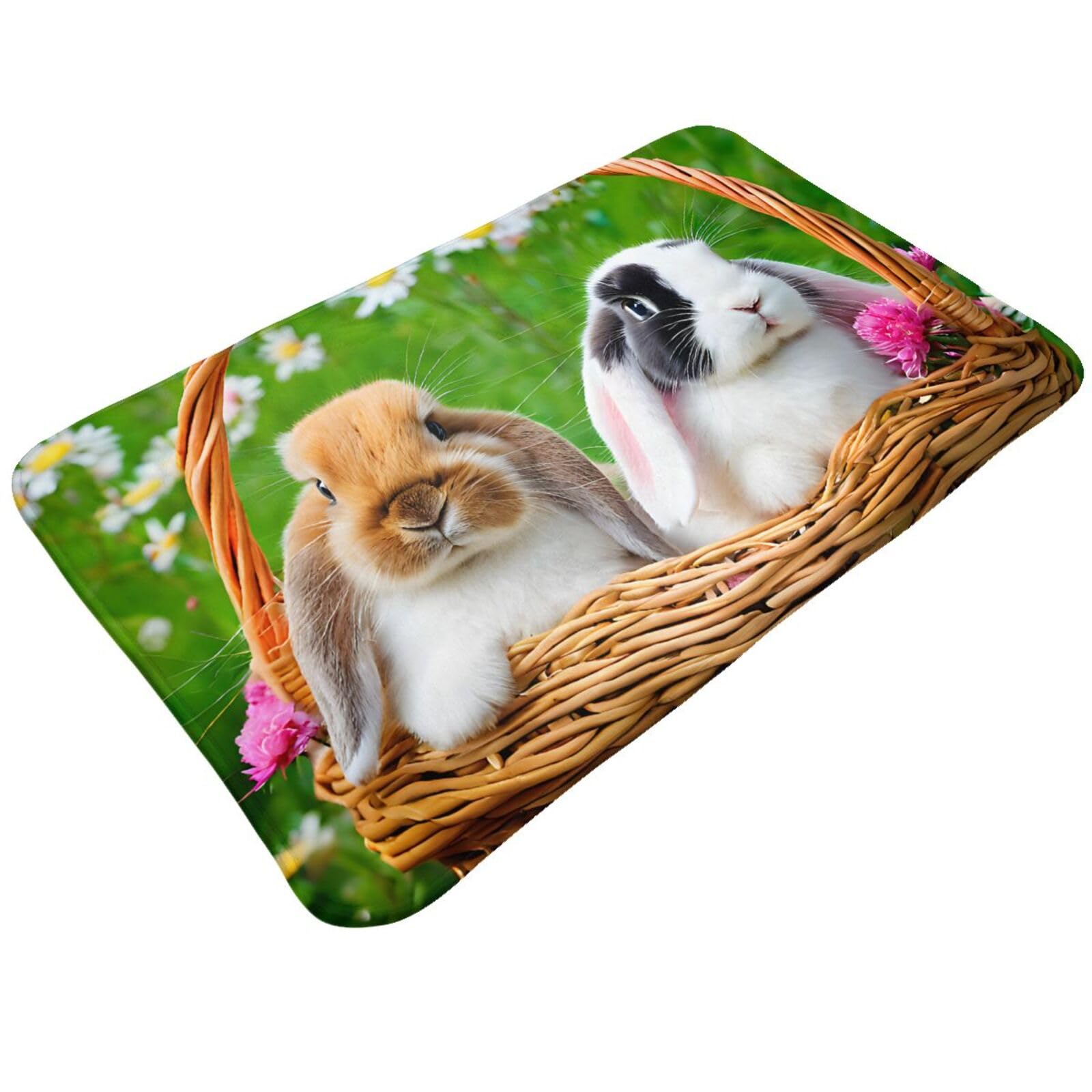 Cute Rabbits Print Living Room Bathroom Kitchen Anti Slip and Absorbent Carpet, Indoor Entrance Door Muddy Floor Mat, Ultra Soft Washable Carpet 21x31.5 Inches