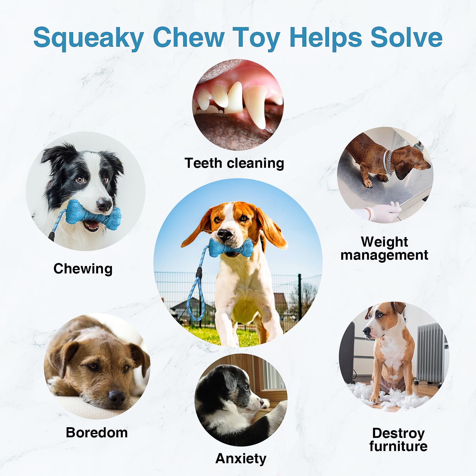 Otterly Pets Hundespielzeug (8-teilig) – Robuste Seile & Unzerstörbarer Naturkautschukball Für Kleine Hunde