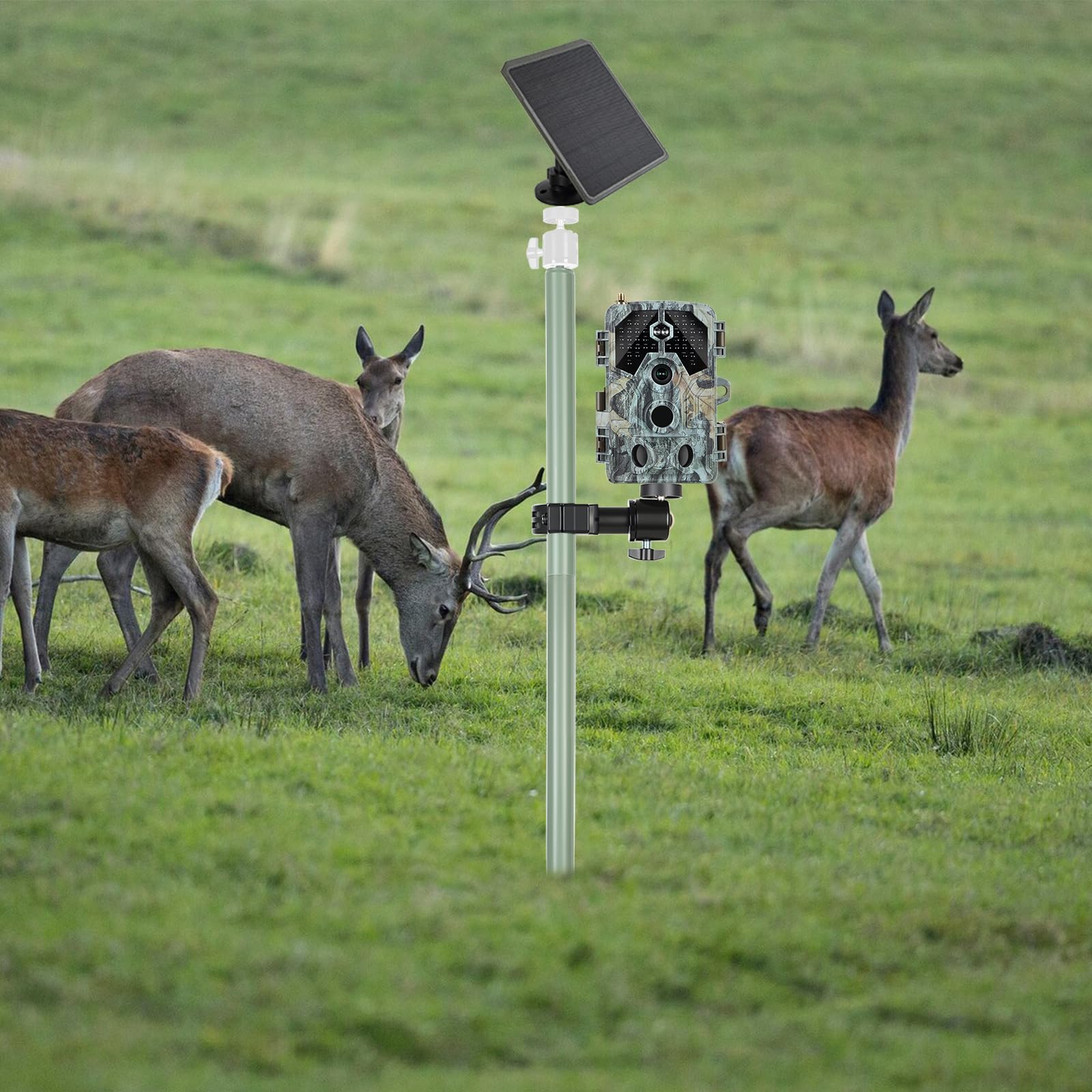 Professional Mannequin Head, Black Abstract Durable Multi-purpose Women