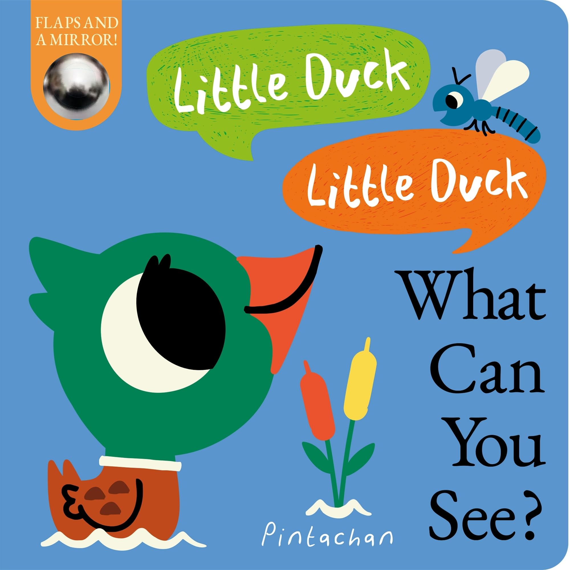 Little Duck, Little Duck, What Can You See?