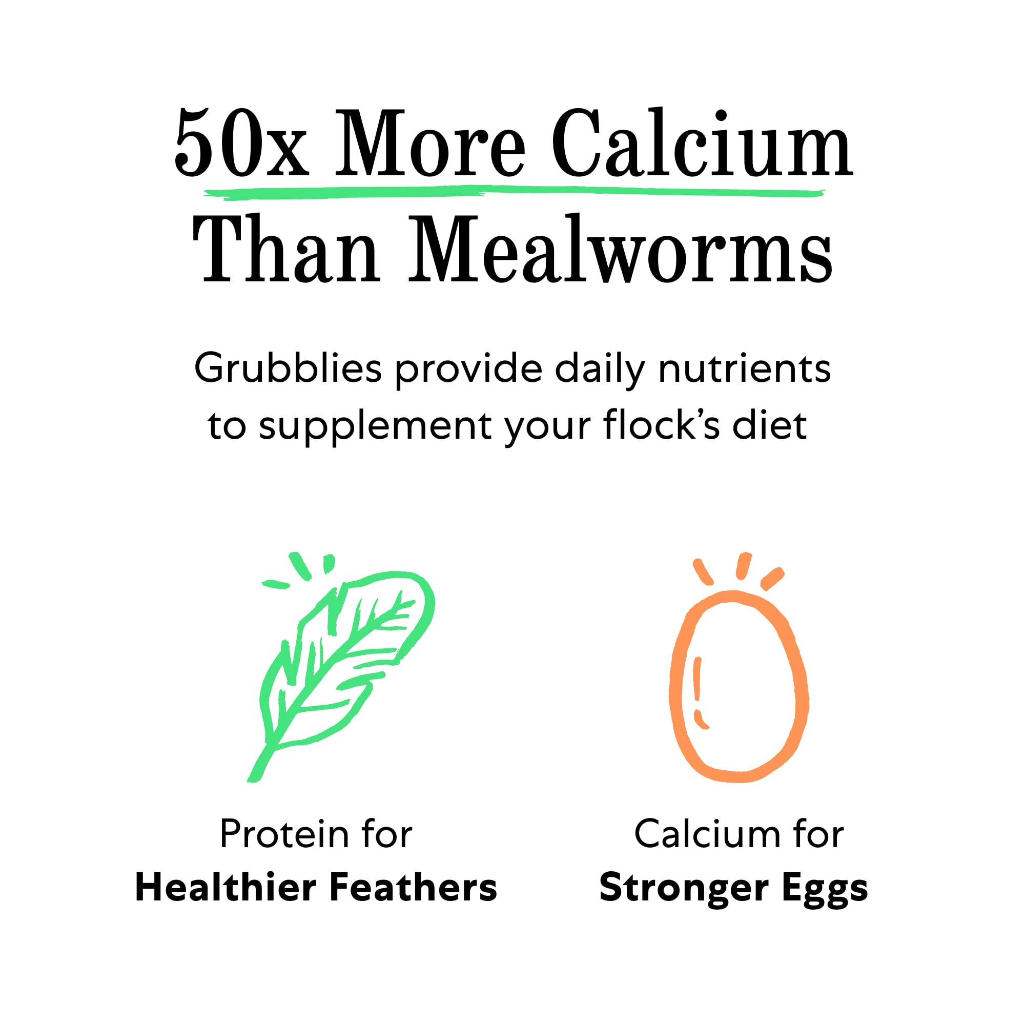 Grubblies Healthier Than Mealworms for Chickens Chicken Feed Supplement with 50x Calcium