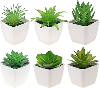 Gresorth 6 Pcs Artificial Succulents Plant Potted Decoration Fake Green Aloe Lotus Model Realistic Mini Bonsai Ornament Ho...