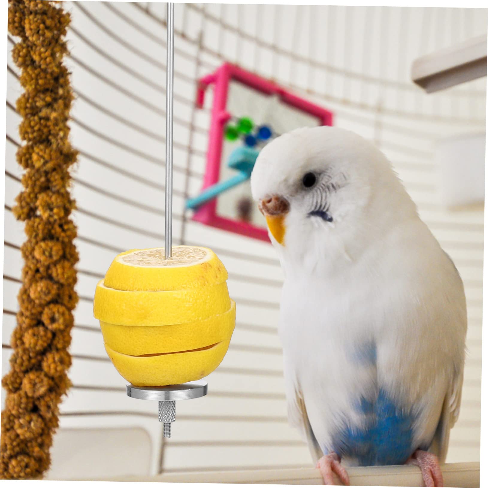 COLLBATH 4stücke Vogelspieße Für Obst Und Futterhalter Für Wellensittiche Papageien Und Kleintiere Für Gesunde Snacks Im Käfig