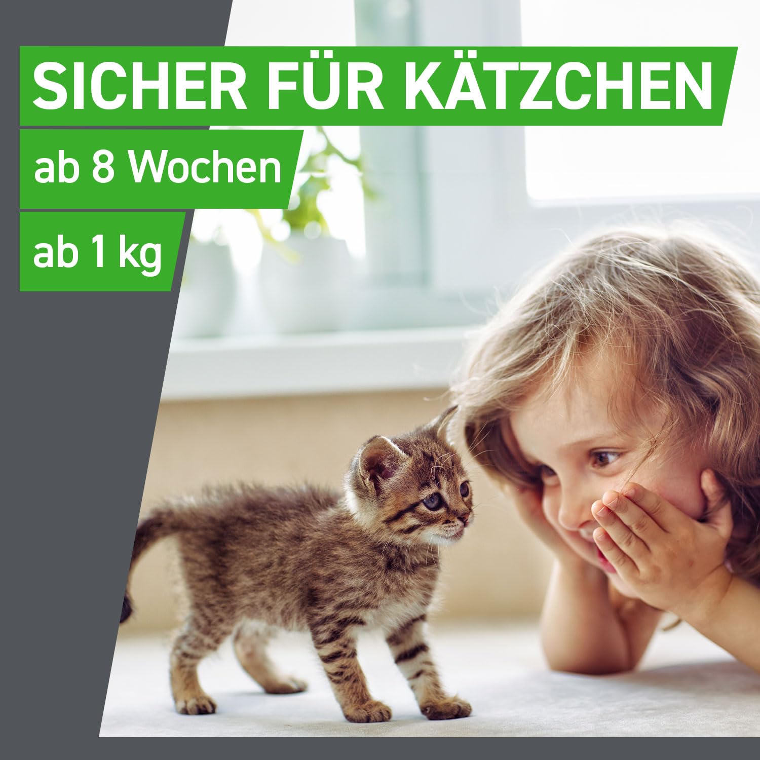 FRONTLINE Combo Katze gegen Zecken, Flöhe & Haarlinge (für Jede Größe & Gewicht) - 6X Pipetten für bis zu 6 Monate Schutz - auch gegen Floheier, Larven & Puppen im Haushalt - wasserfest