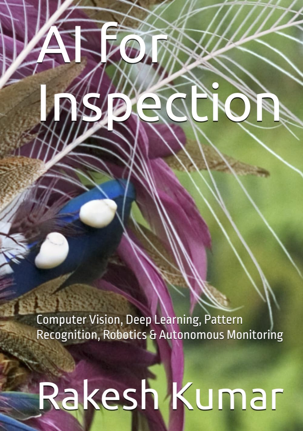 AI for Inspection: Computer Vision, Deep Learning, Pattern Recognition, Robotics & Autonomous Monitoring