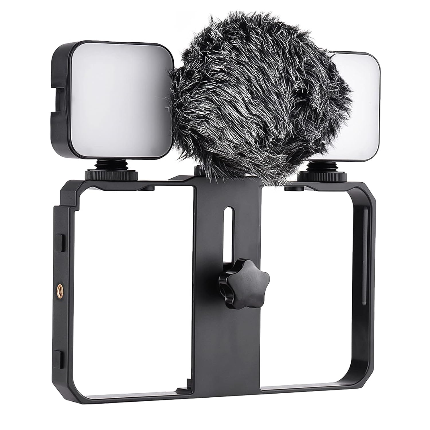 Smartphone Cage Kit Inclug 2pcs Mini LED Fill Lights + Mini Microphone