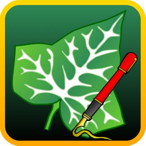Ivy Draw - Vector Drawing