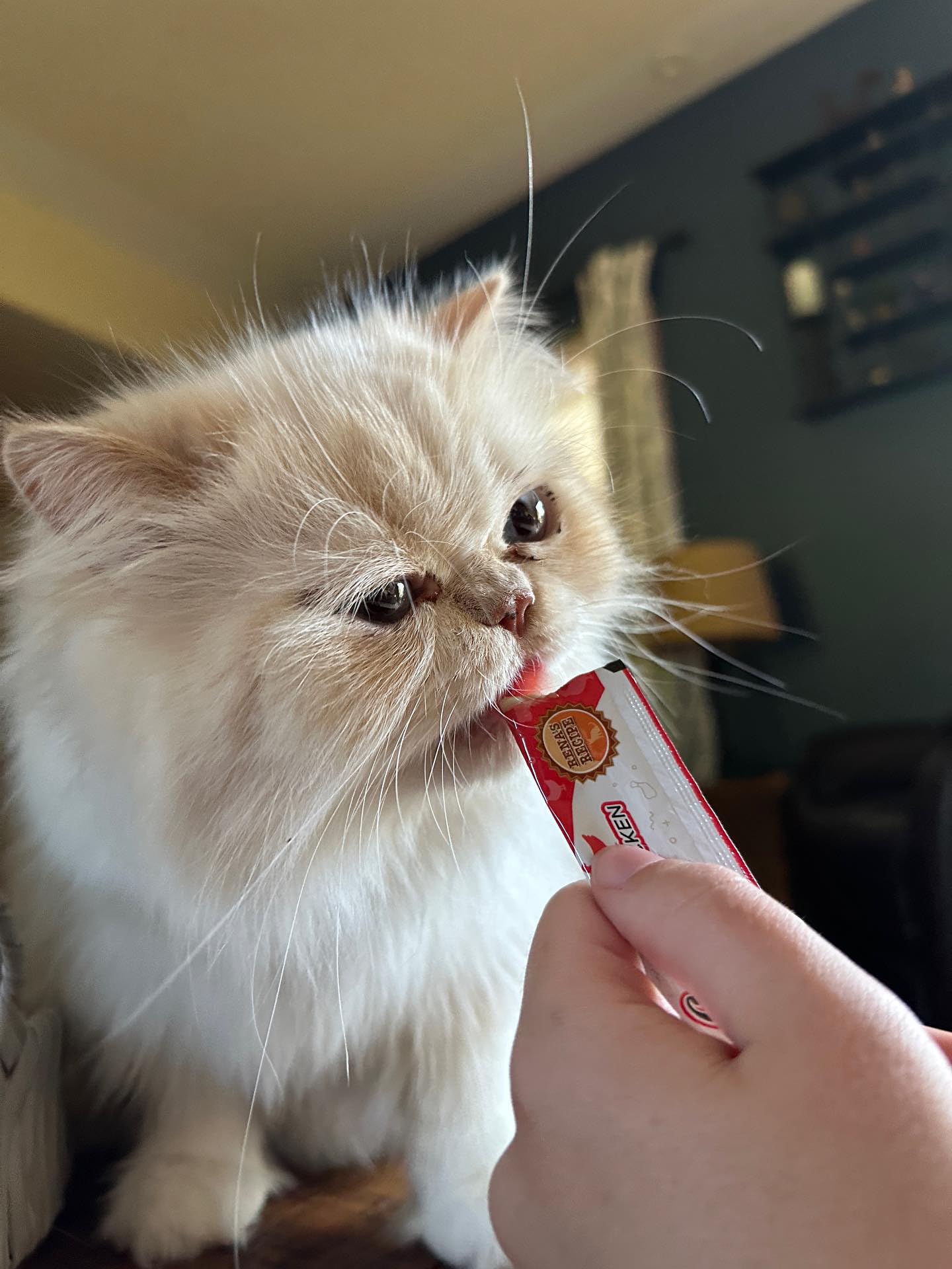 Rena's Recipe Kitty Licks - Variedad de pollo (60 tubos) 3 sabores x 20 tubos de golosinas para lamer en crema para gatos