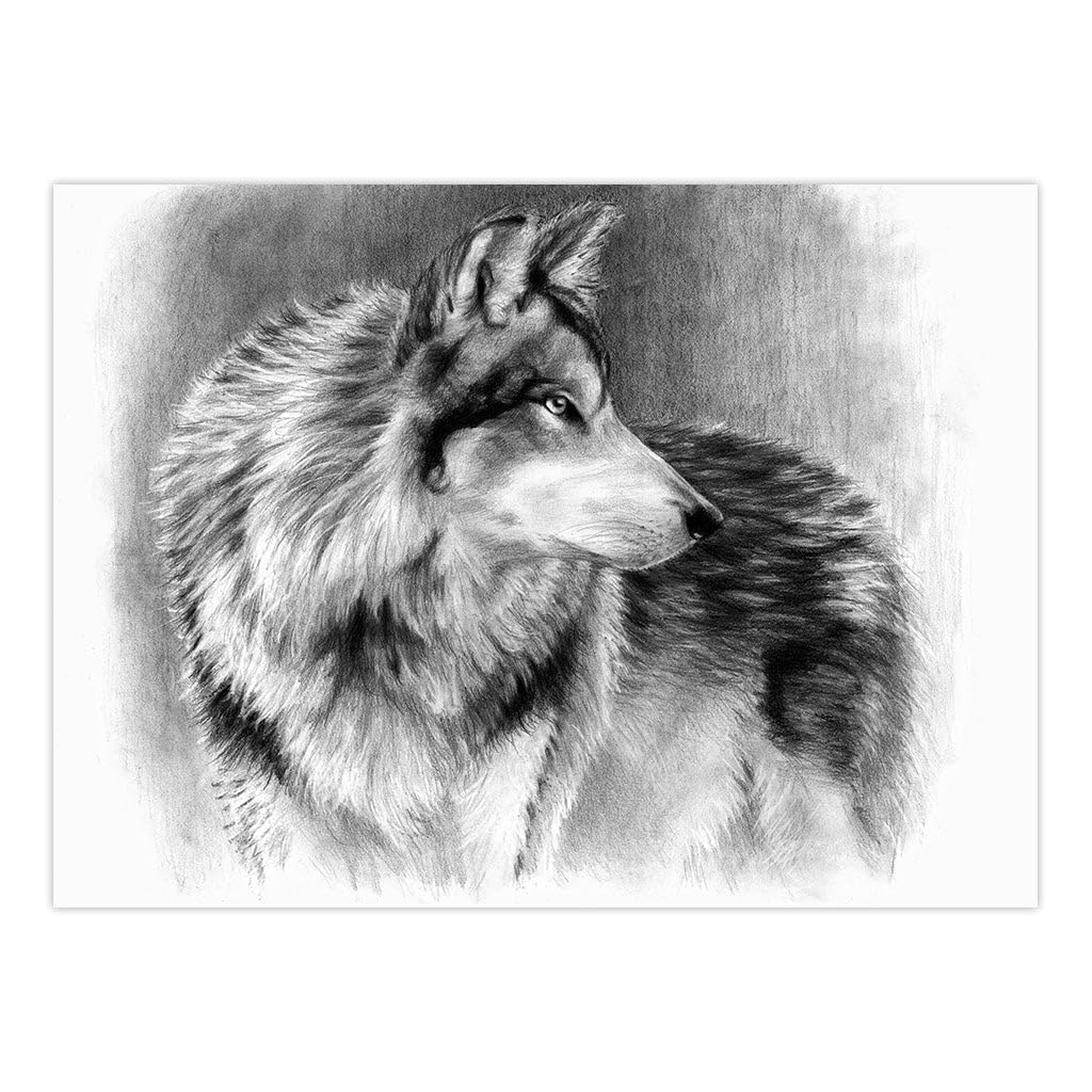 Royal and Langnickel Sketching Made Easy Large Kit 11 1/4 inch x 15 3/8 inch - Cautious Eyes