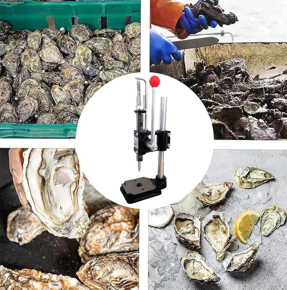 Ouvre-huîtres et palourdes en acier inoxydable, poignée antidérapante, profondeur de pression réglable, ouvre rapidement les huîtres et les palourdes pour buffet d'hôtel, restaurant, cuisine