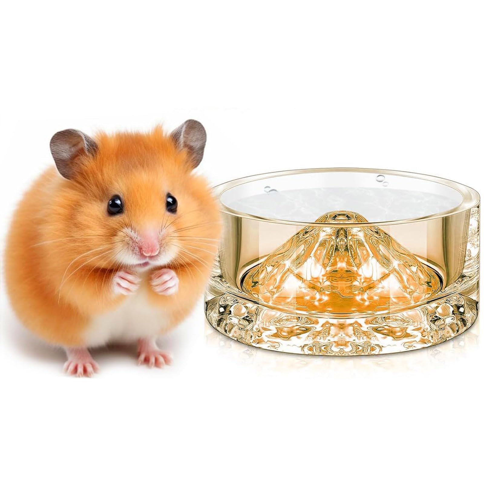 Amazon | Ifukens ハムスター 水飲み 餌入れ ペット フードボウル