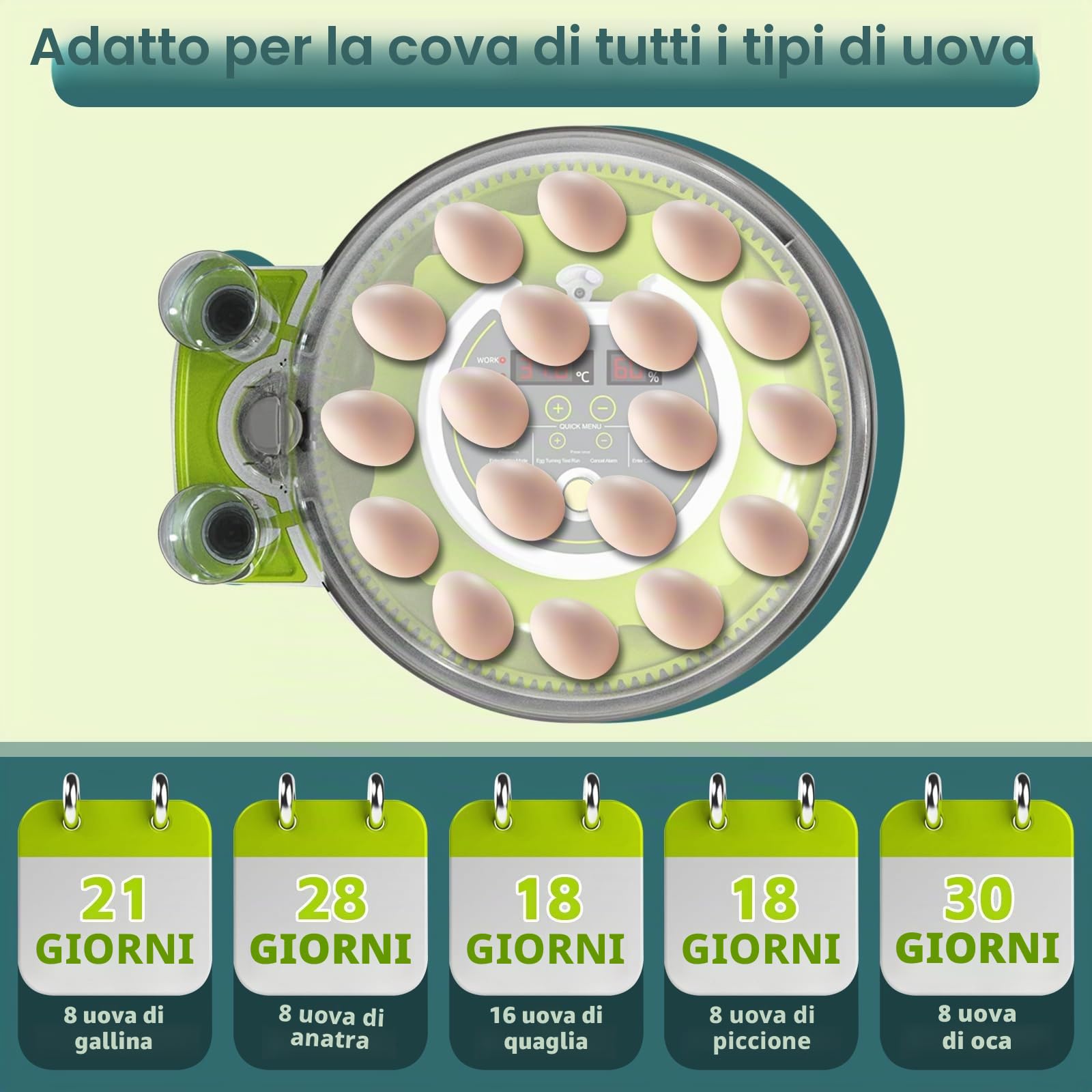 Macchina incubatrice completamente automatica con uova | controllo della temperatura e approvvigionamento idrico, coperchio a 360°, 18-36 uova di polli incubatori