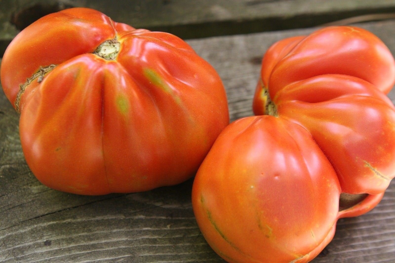 Amazon.com: Pomodoro,Red Pear tomato Seeds. beefsteak- Italian