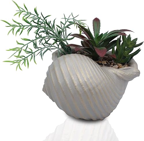 Suculentas falsas en concha de mar, decoración del hogar, decoración de playa costera para el hogar, baño, océano, conchas marinas, serie de