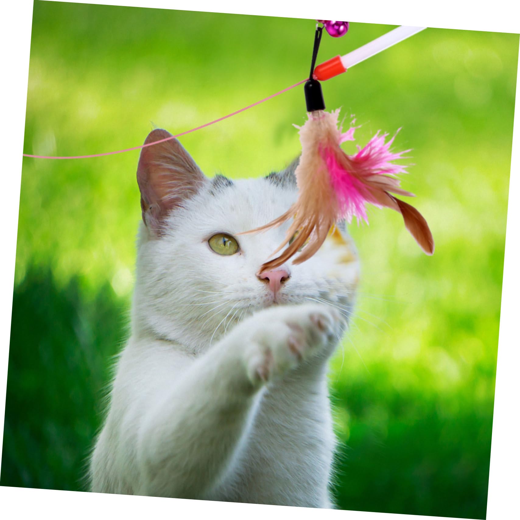 VANZACK 40 Piezas Juego de Navidad para Mascotas Bolas de Juguete para Gatos Juguetes para Mascotas mancuerna Cat Toys Juguetes para Gatos Juguetes Gatos Rompecabezas de Gato